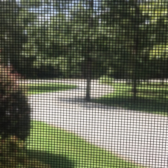 Posh Ambassador Top Seller 5 ⭐️ Rated Fast Shipper - Picture 1 of 2